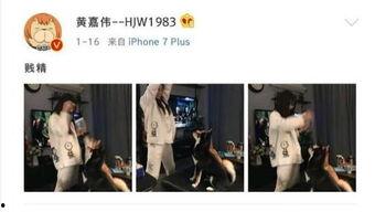 娱乐圈吃瓜爆料二次元