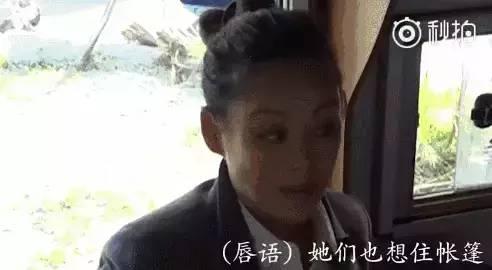 吃瓜娱乐圈真假,真假难辨的八卦风云
